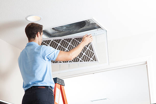 Best Air Filters and Purifiers in Liberty, PA